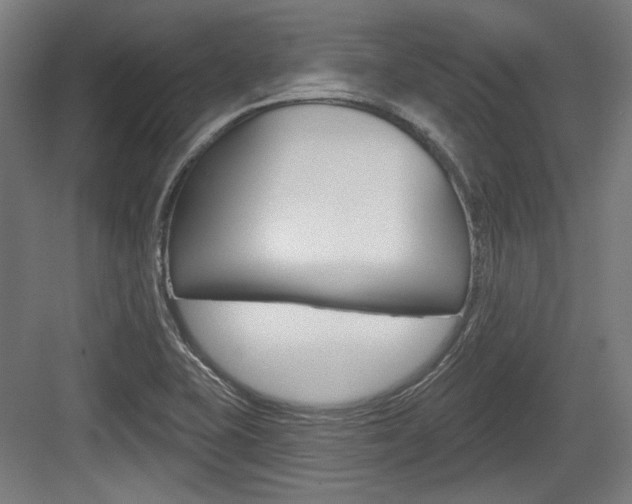 X0000084021415200702160814