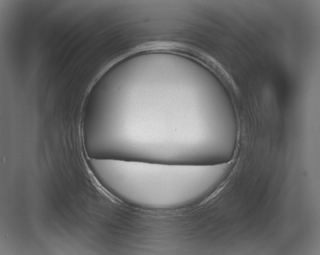 X0000084021417200702160814