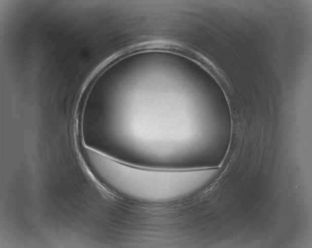 X0000084021418200702160814