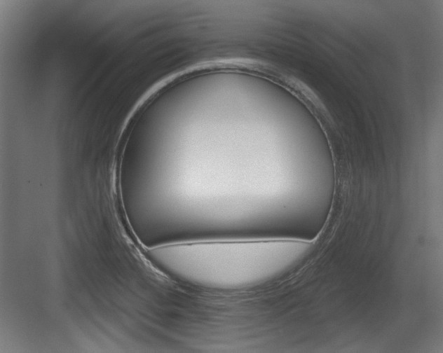 X0000084021420200702160814