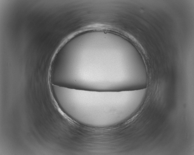 X0000084021421200702160814