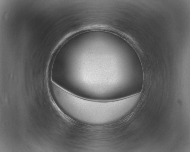 X0000084021422200702160814