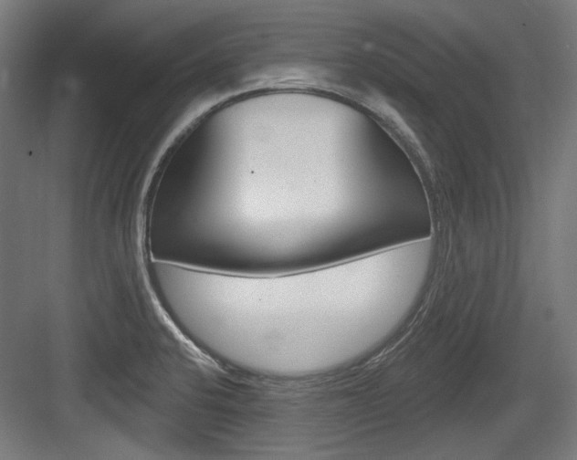 X0000084021424200702160815