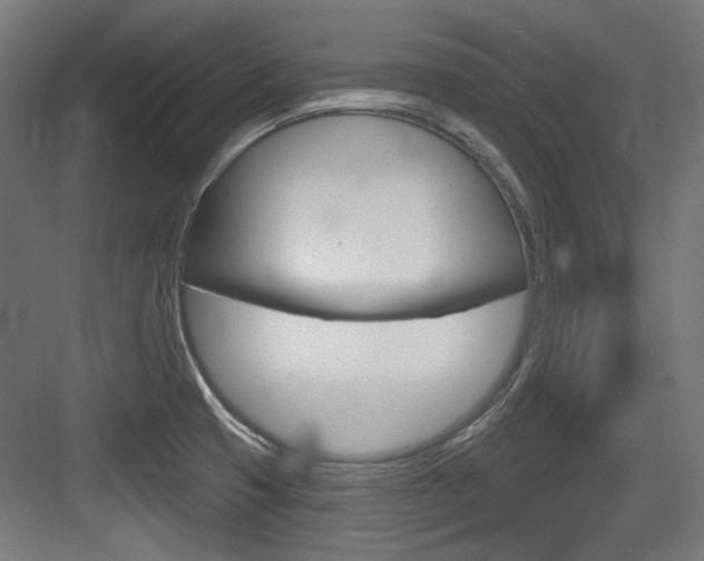 X0000084021425200702160815