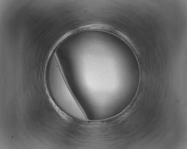 X0000084021426200702160815
