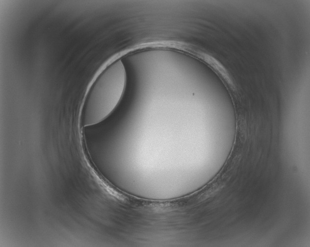 X0000084021428200702160815