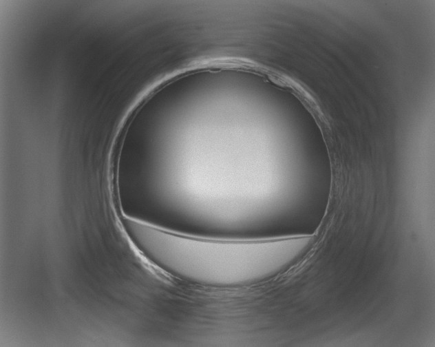 X0000084021430200702160815