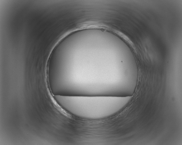X0000084021431200702160815