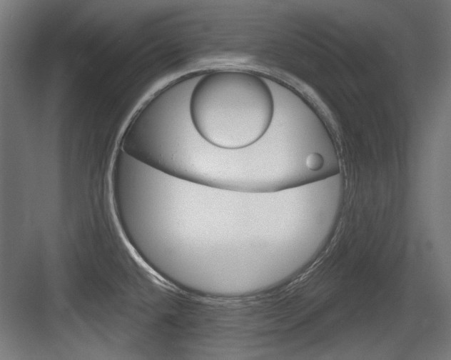 X0000084021432200702160815