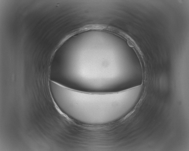 X0000084021433200702160815