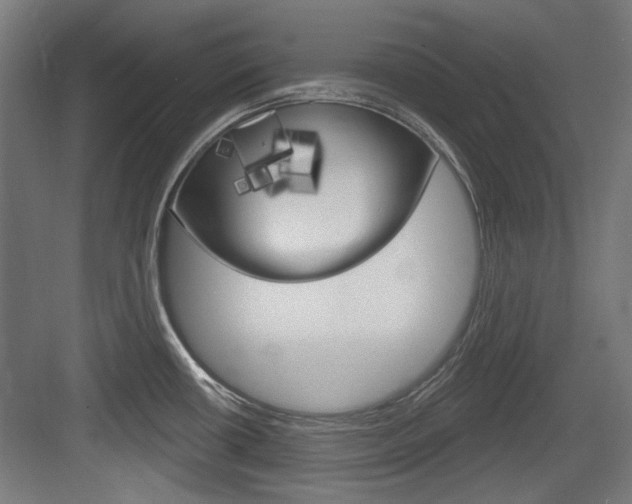 X0000084021434200702160815