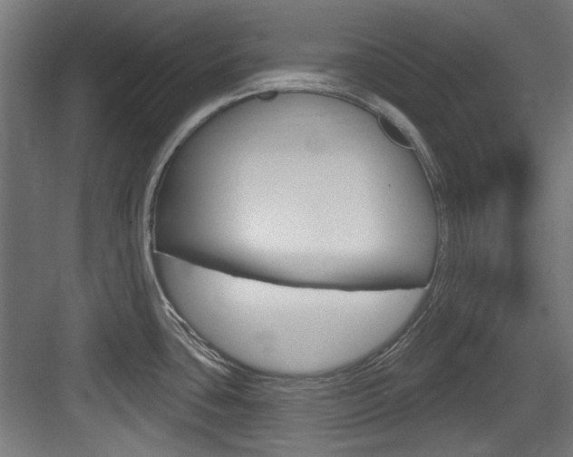 X0000084021435200702160815