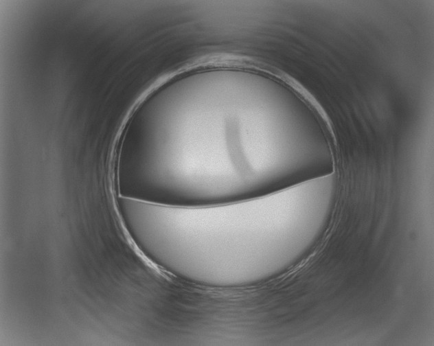 X0000084021437200702160815