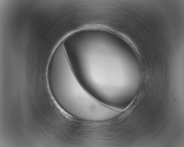 X0000084021438200702160815