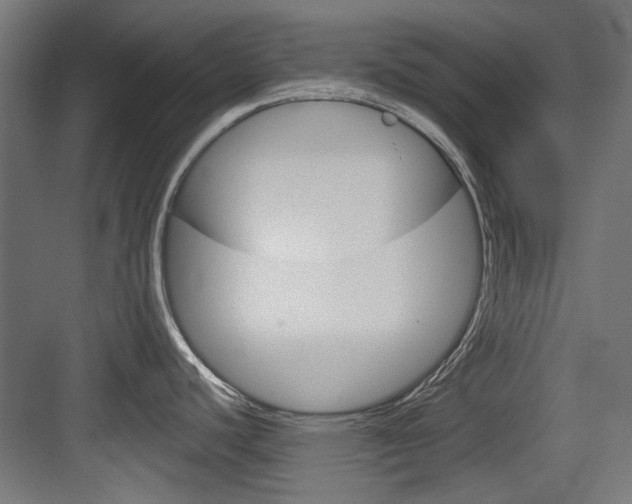 X0000084021440200702160815