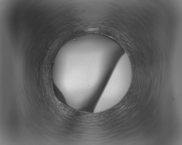 X0000084021441200702160814