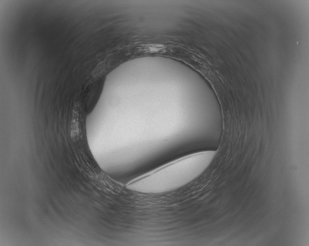 X0000084021442200702160814