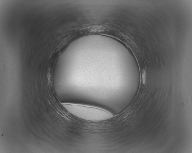 X0000084021444200702160814