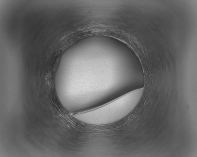 X0000084021445200702160814