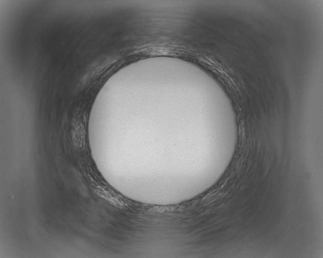 X0000084021446200702160814