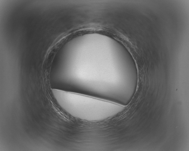 X0000084021448200702160814