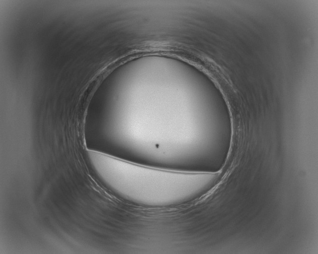X0000084021449200702160814