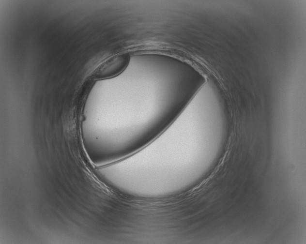 X0000084021450200702160814
