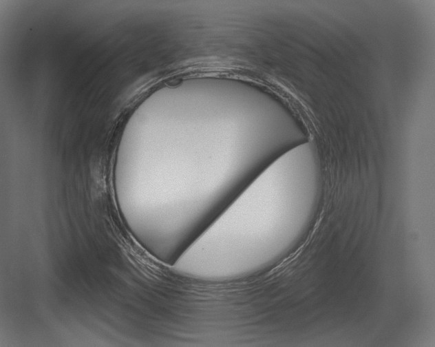 X0000084021451200702160814