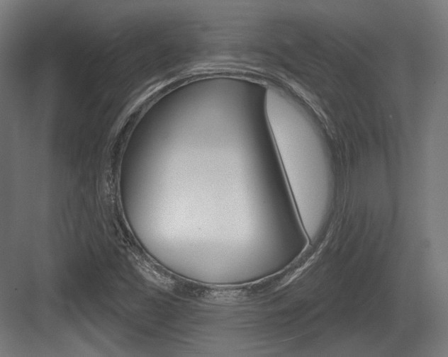 X0000084021453200702160814