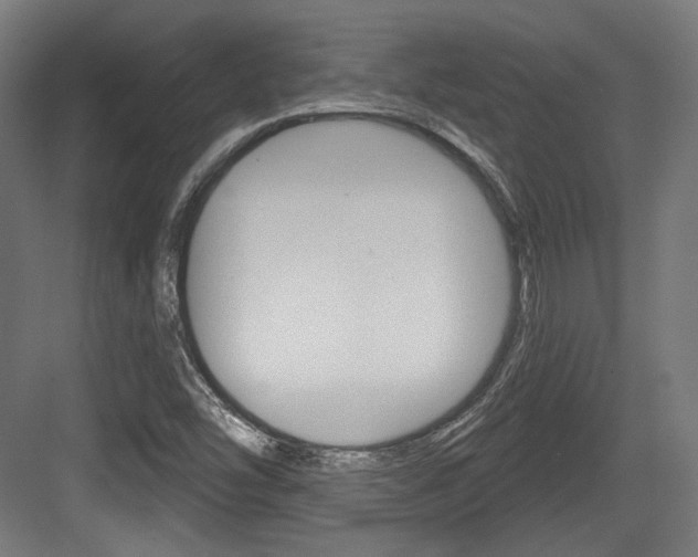 X0000084021454200702160814