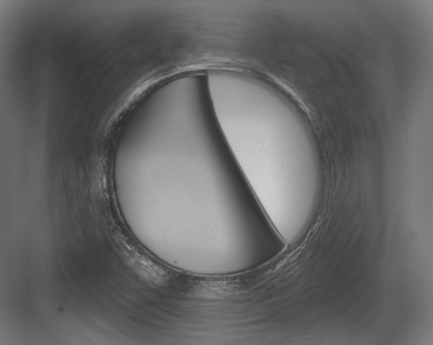X0000084021455200702160814