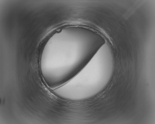 X0000084021456200702160814