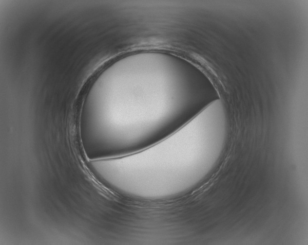 X0000084021458200702160814