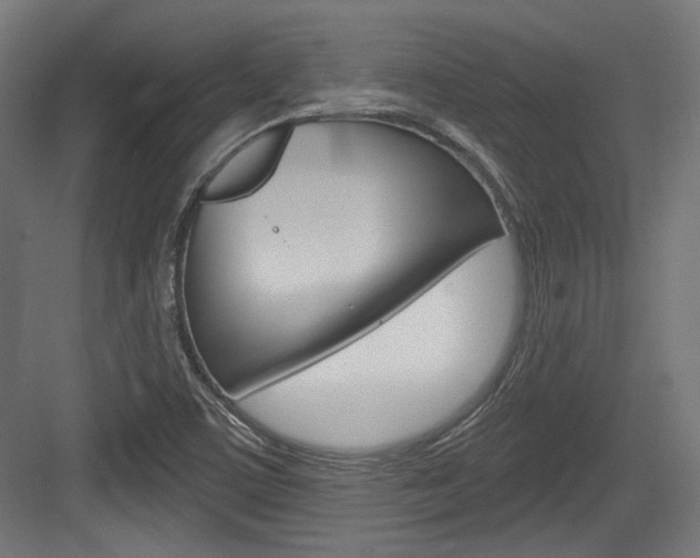 X0000084021459200702160814
