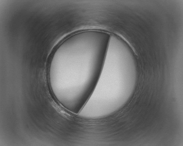 X0000084021460200702160814