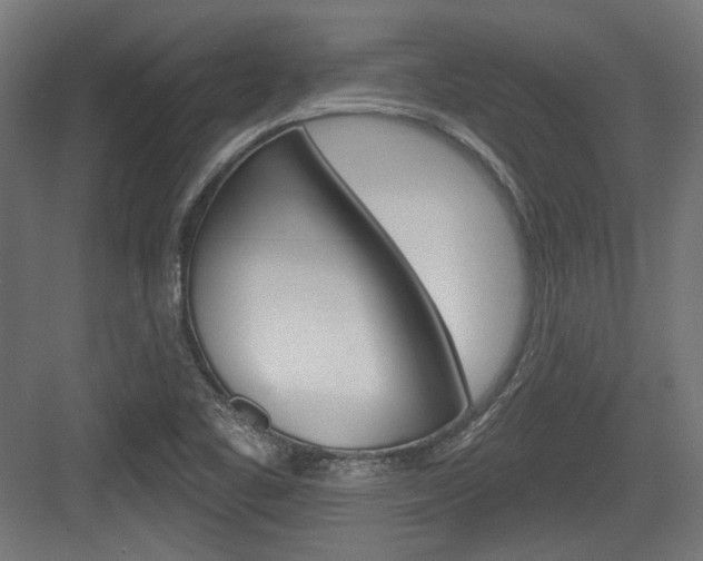 X0000084021461200702160814
