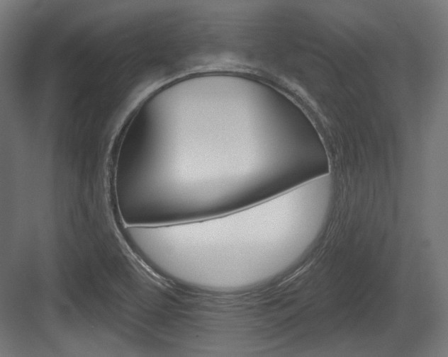 X0000084021463200702160814
