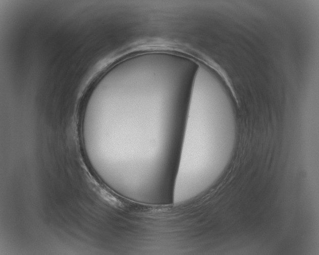 X0000084021464200702160814