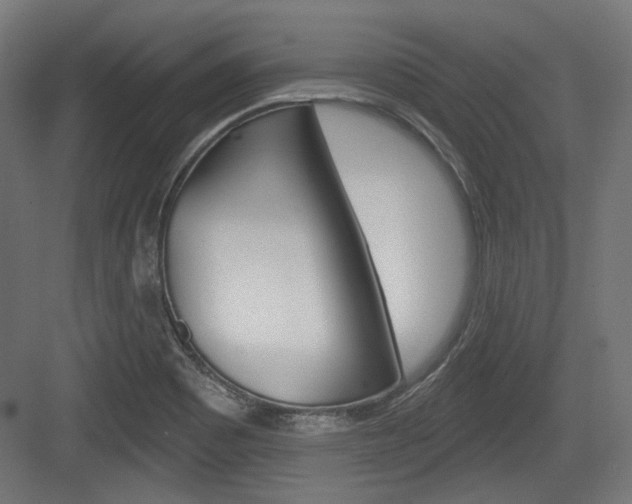 X0000084021465200702160814