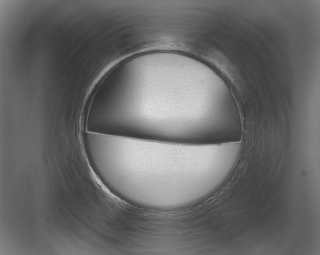 X0000084021468200702160814