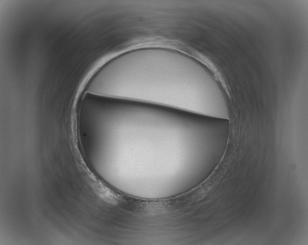 X0000084021472200702160813