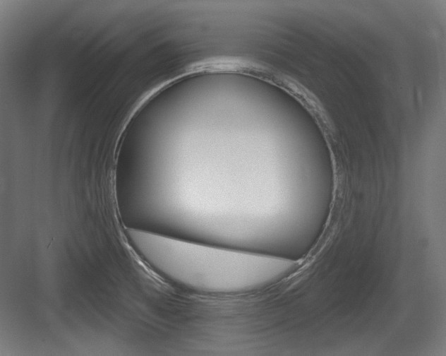 X0000084021473200702160813