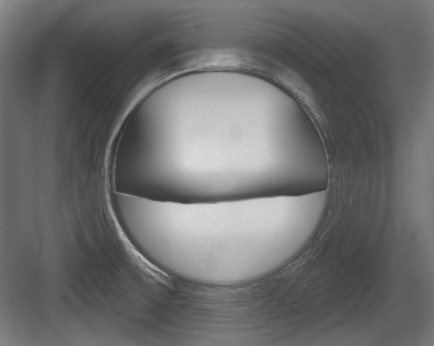 X0000084021475200702160813