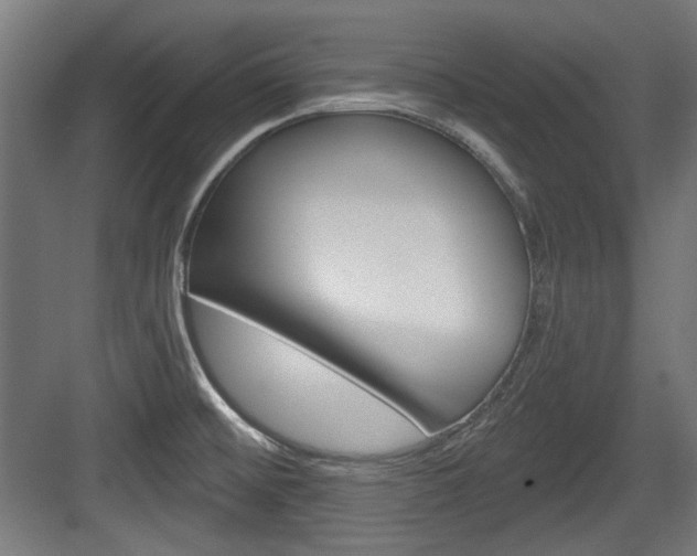 X0000084021476200702160813