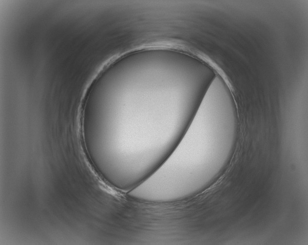 X0000084021477200702160813