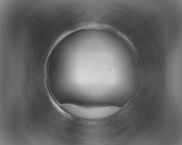X0000084021479200702160813