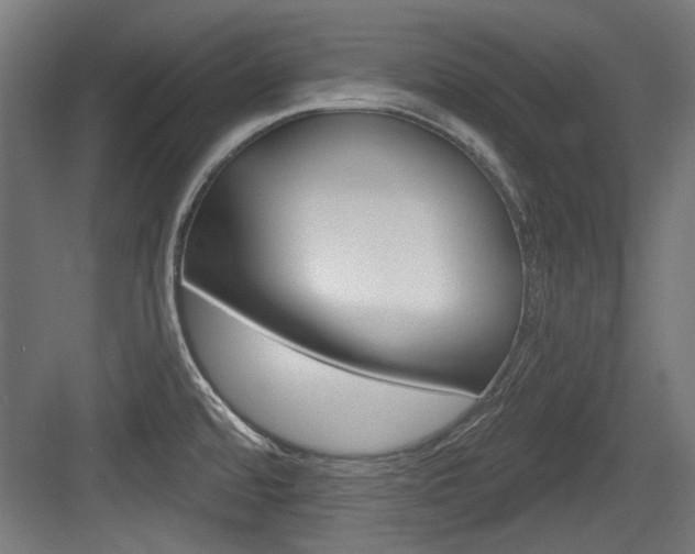 X0000084021480200702160813