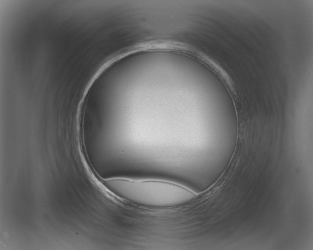 X0000084021483200702160813