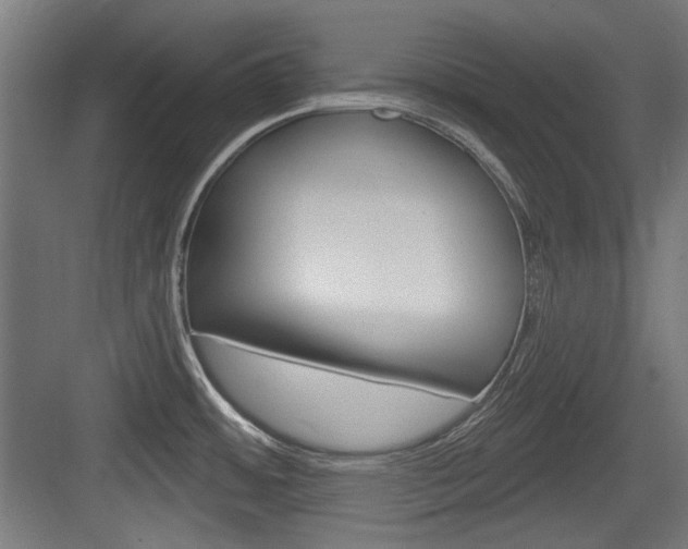 X0000084021484200702160813