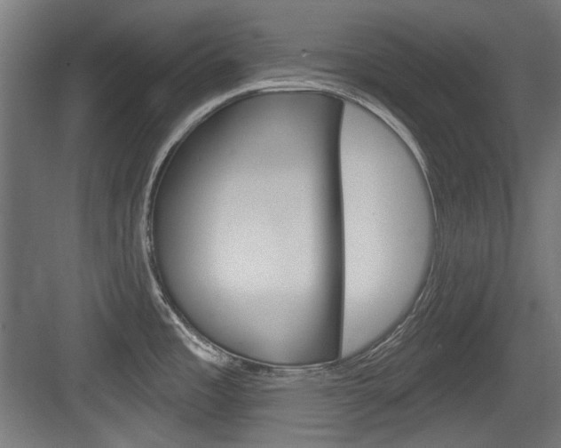 X0000084021485200702160813
